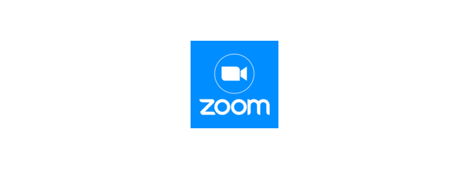 zoom consultant