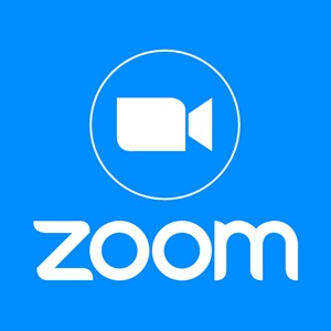zoom consulting company